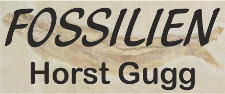 Fossilien Gugg